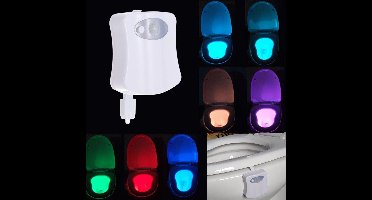 Toilet LED Light