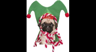 Muts elf voor honden - Rood Groen - 35 X 2 X H35 CM - TEXTIEL