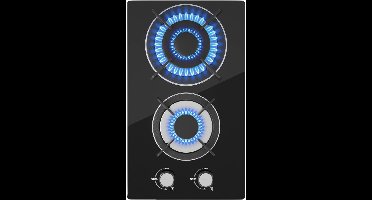 Elektrische Kookplaat 2 Pits