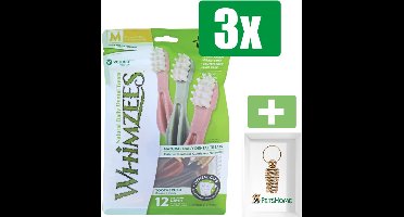 Whimzees Tandenborstel Star M - Kauwsnacks - Hond - 11,4cm - 12st - 3 Zakken - Inclusief PetsHome Goudkleurige Adreskoker