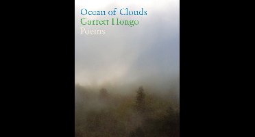 Ocean of Clouds