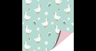 2 kleine rolletjes dubbelzijdig inpakpapier -30 CM Breed - eend - Geboorte - Kraammand - Baby