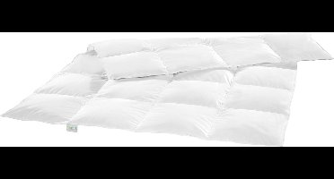 Bodyprotect lichtgewicht donzen dekbed, zomerdekbed 100% nieuw dons (60%) & veren (40%), cassette dekbed, dekbed 100% katoen (dons batist), donspas, Nomite, Ökotex, wasbaar op 60 graden, 155 x 220 cm