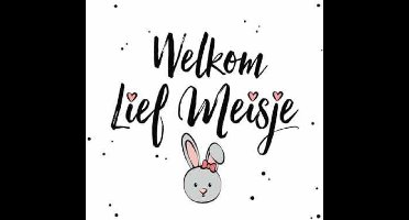 Wenskaart Geboorte - Welkom Lief Meisje - Met Envelop