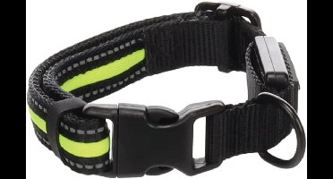 Hond Halsband Flitzy Zwart & Geel L 42-63cm 25mm - Hondenhalsband - Verlichting Hardlopen - Hardloopvest - Hondentuig - Honden Riem - valentijn