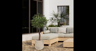 Olijf Kunstboom op stam 120cm UV in pot