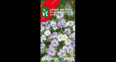 Juffertje in 't Groen Zaden - Nigella in Diverse Blauwe Kleuren met Sierlijke Bloei