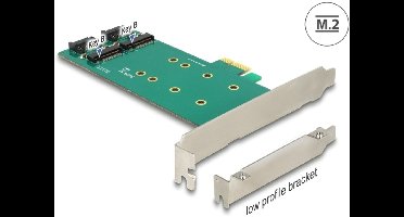 Delock PCI Express x1 Card > 2 x internal M.2 Key B 110 mm - Low Profile Form Factor