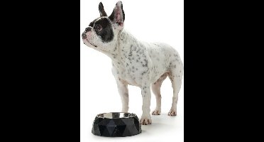 Voerbak voor honden Hunter Kimberley Melamine Roestvrij staal Wit Driehoekig (17,5 x 17,5 x 4,5 cm)
