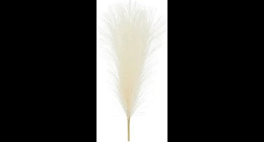 Pampas grass (kunst), light cream, 10 x 45 cm - 1 stuks