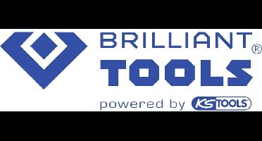 BRILLIANT TOOLS Persluchtreinigingspistool - BT160300