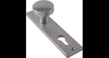 Ami Knopkortschild, Knop 169/50 Blind F1