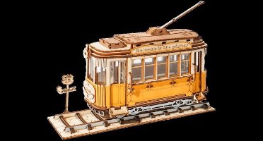 Pichler Modellbau Hout Locomotief (bouwpakket)