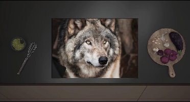 Inductie Beschermer - Wegkijkende Grijze Volwassen Wolf - 70x52 cm - 2 mm Dik - Inductieplaat Beschermer met zwarte kern