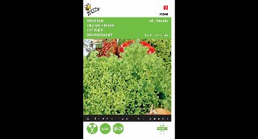 2 stuks - Buzzy - Krulsla Lollo Bionda