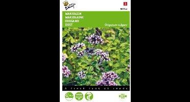 2 stuks - Buzzy - Marjolein Oregano