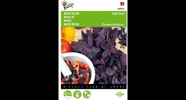 2 stuks Basilicum Dark Opal (Ocimum basilicum purpurascens)
