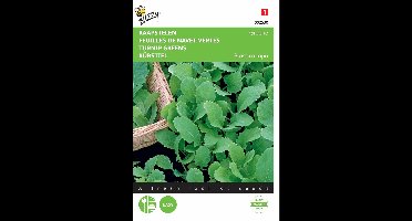 2 stuks - Buzzy - Raapstelen Groene