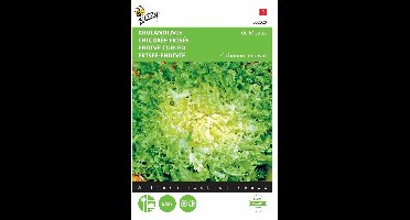 2 stuks - Buzzy - Krulandijvie De Meaux