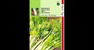 2 stuks - Hortitops - Bleekselderie Goudgele Zelfblekende 2