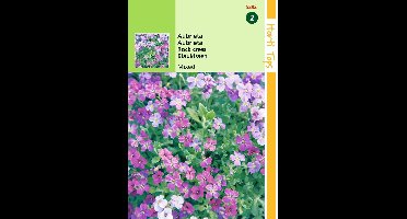 2 stuks - Hortitops - Aubrietia Hybrida Grandiflora Gemengd