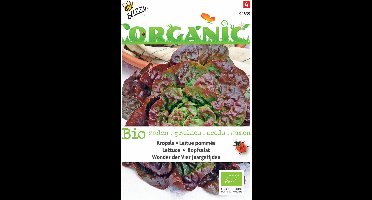 5 stuks - Buzzy - Organic Kropsla Wonder 4 jaargetijden (Skal 14275)