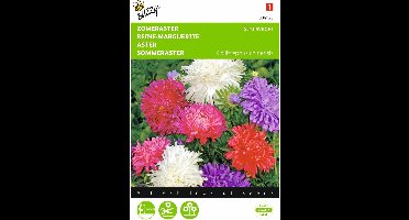 2 stuks Callistephus, Zomeraster Struisveder gemengd