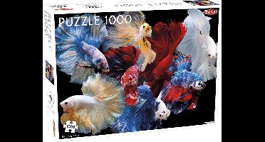 Puzzel Animals: Fighting Fish - 1000 stukjes