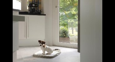 Savic Savic Puppy Trainer Starterkit Medium - Hondentoilet - 450 mm x 300 mm