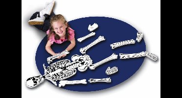 Vloerpuzzel skelet (afmeting: 1,22 m)
