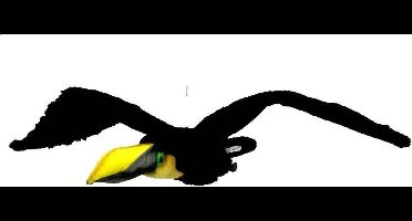 Toekan Knuffel vliegend, Hansa