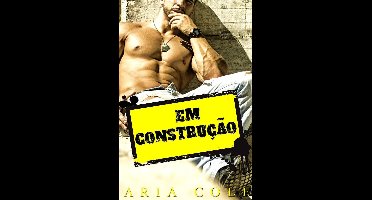 Em Construção