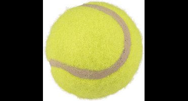 Hs Tennisbal Smash Geel 5cm 3st