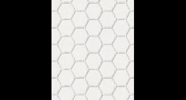 Oslo | honingraat | wit, grijs | vliesbehang 0,53x10m