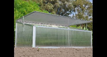 Royal Well Broeikas Viola