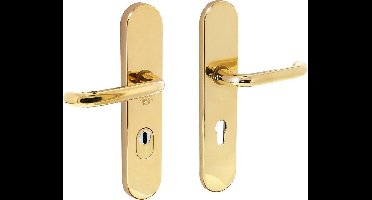 Intersteel Veiligheidsbeslag kerntrekbeveiliging profielcilindergat ovaal messing ongelakt 72 mm