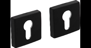 Intersteel Rozet profielcilindergat 50x50x10 mm aluminium zwart