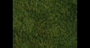 Gras Mat Wild, Lichtgroen