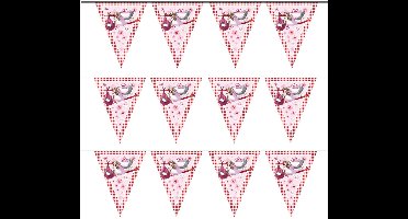 Folat geboorte vlaggen slinger - 3x - geboorte meisje - 6 mtr - versiering