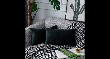 Boraboi ® Set van 2 Luxe Fluwelen Kussenhoezen voor Stijlvolle Woonruimte Decoratie