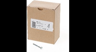 Dulimex AIS 4040B Anti-inbraakschroef 4.0 x 40mm staal verzinkt 0112.400.4040