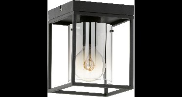 Fischer & Honsel Samu - Plafondlamp - 1x E27 max. 40 W (excl. lichtbron) - 16 x 16 x 22cm - Zwart met rookkleurig glas