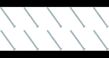 10X Metaalschroeven Verz. P.Verz.Kop M3x60
