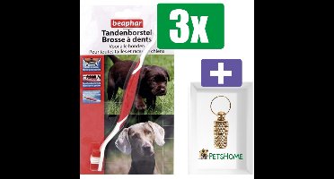 Beaphar Tandenborstel - 3 Stuks - Inclusief PetsHome Goudkleurige Adreskoker