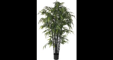 Kunstplant Bamboe Groen - H 210cm - Kunststof pot - Mica Decorations