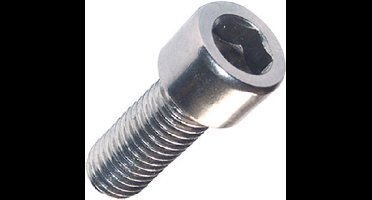 40 x Binnenzeskantbout M5x12 RVS-A4 (316) - Lage Bolkop - Hoge Treksterkte 700 MPa (DIN 7991)