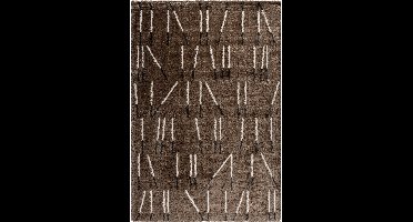 Rugsman Kyoto 014.0083.7262 Vloerkleed - 240 x 340 cm - Bruin - Rechthoekig - Polyester - Eetkamer, Woonkamer, Slaapkamer - Strepen - Modern