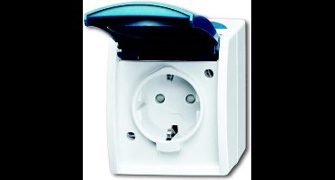 ABB 2CKA002083A0842 Geaard stopcontact IP44 Grijs-wit (RAL 7035), Blauw-groen