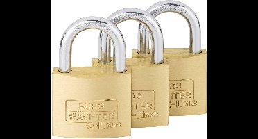 Burg Wächter 29941 Hangslot 40.00 mm Gelijksluitend Messing Sleutelslot
