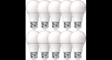 Proventa LongLife LED Lampen met grote E27 fitting - Voordeelverpakking - 10 x LED lamp